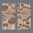 Set of two color labels with cyclocybe aegerita aka poplar mushroom anad Boletus edulis aka porcini mushroom sketch.
