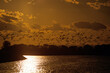 coucher de soleil, Goéland leucophée,.Larus michahellis, Yellow, legged Gul, Canal du midi, Gaujac, 30, Gard, France