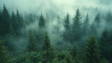 Fototapeta  - Misty foggy mountain landscape with fir forest and copyspace in vintage retro hipster style.