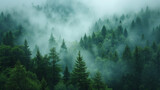 Fototapeta Krajobraz - Misty foggy mountain landscape with fir forest and copyspace in vintage retro hipster style.
