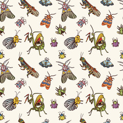 Wall Mural - vector seamless pattern of insect