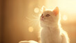 Gato branco com iluminação cinematográfica bege - Papel de parede