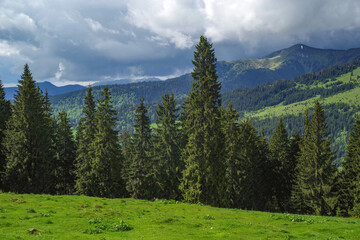 Wall Mural - Rodnei Mountains National Park, Romania, Romanian Carpathian Mountains, Europe.