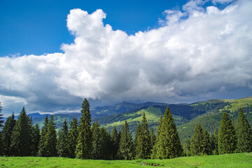 Wall Mural - Rodnei Mountains National Park, Romania, Romanian Carpathian Mountains, Europe.