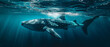 Whale shark swimming under the ocean, bright peaceful vibes, volume light from the sun