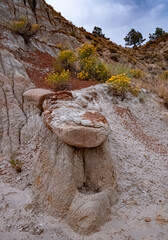 Wall Mural - 478-114 Betonite and Rabbittbrush