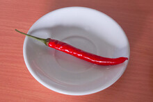 One Red Chili Pepper In A White Plate On Table. Spicy Food Concept.
