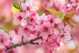 Fototapeta Kwiaty - a cherry blossom tree with pink flowers and green leaves