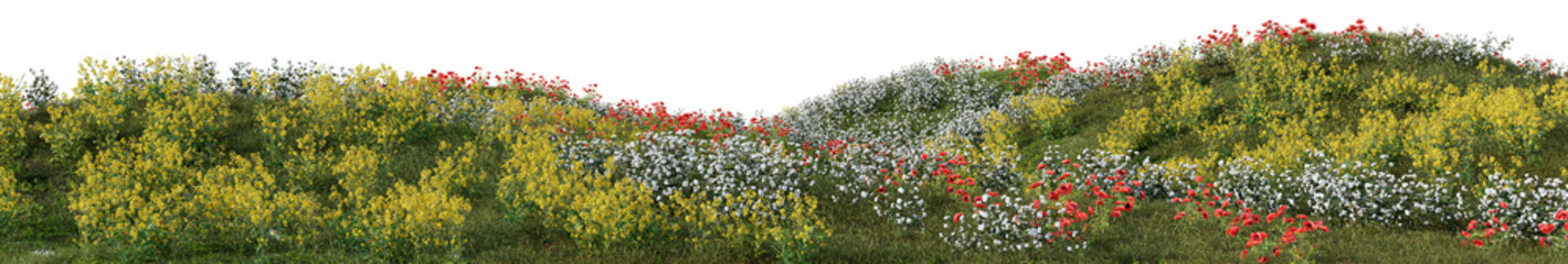 Wall Mural - Colorful wild  fowers and grass field on the mountainn, forest in springtime with isolated on transparent background - PNG file, 3D rendering illustration for create and design or etc