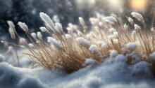 dry grass under the cover of fluffy snow close up