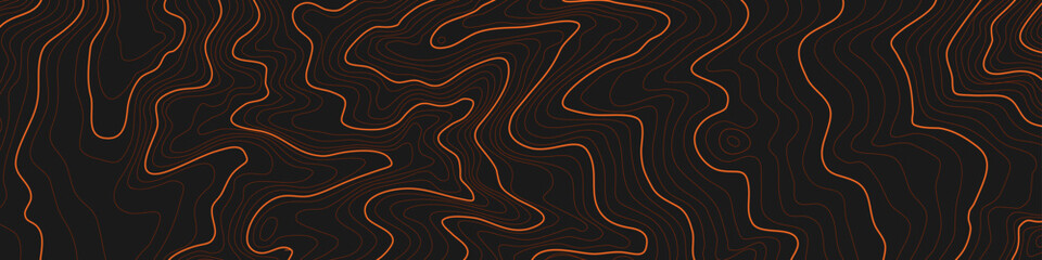 Wall Mural - the stylized height of the topographic map contour in lines and contours. the concept of a condition