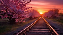 Spring sunset on railway tracks