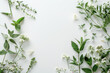 Fresh Springtime Herbs and Flowers on White Background