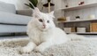  fluffy white cat lies on the carpet in the living room, beloved pet, modern interior in the apartment