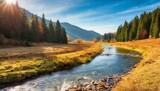 Fototapeta Góry - nature scenery with small river in autumn mountainous countryside landscape on a sunny afternoon spruce forest on the shore