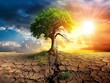 climate change / World 