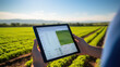 © MP Studio - Farmer holding a tablet with a blank screen in front of a field of green crops