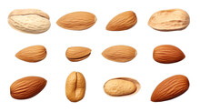 Set of Peanuts Isolated on Transparent Background, (PNG).