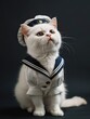 A white cat dressed in a sailor costume poses for the camera