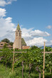 View of the vineyard against the background of the church