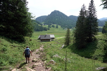 Canvas Print - Wanderer an der Wurzerallm