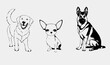 set of silhouette dog breeds, golden retriever, chihuahua,  german shepherd, Generative Ai