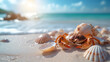 Landscape with seashells and crab on tropical beach - summer holiday 