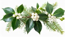 Christmas Tree Branch Mistletoe Branch With White Berries Christmas Holly Branch And Ivy Decoration Plants Set Isolated Transparent Png