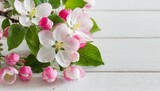Fototapeta Kwiaty - pink and white apple flowers on white background