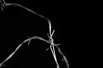 Metal barbed wire on black background, closeup