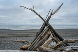 Fototapeta Sawanna - Driftwood Structure Along the Coast of Kaloloch Beach