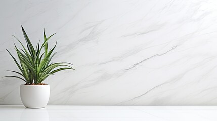 Wall Mural - wallpaper decoration marble background