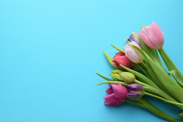 Wall Mural - Bouquet of colorful spring tulips and place for text for Mother's Day or Women's Day on a blue background. Top view in flat style.