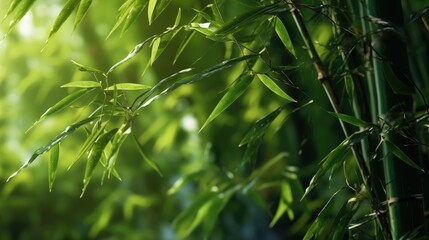  Photo of a very green bamboo tree