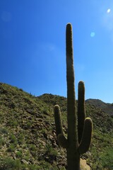 Arid desert landscape