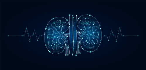Electronic kidney and pulse wave glowing between connecting lines. Human organ microchip data circuit code. Medical science of technology futuristic digital innovative health care. Vector EPS10.
