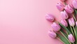 Pink tulips flower on pink background for Greeting card, background for banner