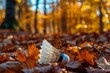 Badminton shuttlecock nestled among autumn leaves in a forest, showcasing the contrast between nature and sports equipment