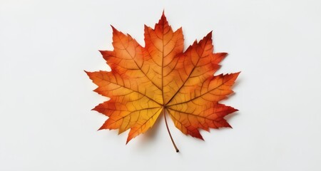 Canvas Print -  Autumn's vibrant beauty, captured in a single leaf