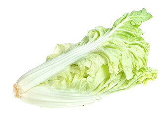 Wall Mural - Fresh chinese cabbage isolated