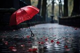 Fototapeta Boho - Heart-shaped umbrella in the rain.