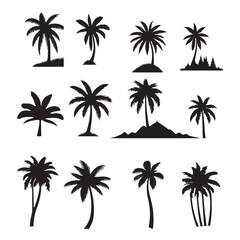 Wall Mural - set of palm trees, Isolated palm on the white background. Palm silhouettes.	