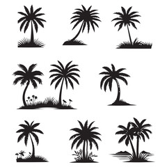 Wall Mural - set of palm trees, Isolated palm on the white background. Palm silhouettes.	