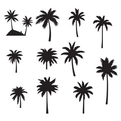 Wall Mural - set of palm trees, Isolated palm on the white background. Palm silhouettes.	