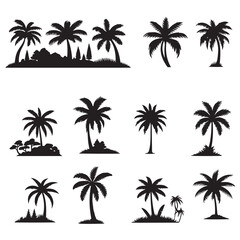 Wall Mural - set of palm trees, Isolated palm on the white background. Palm silhouettes.	