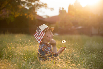 Wall Mural - Cute little patriot sitting on the meadow and holding the national flag of United States