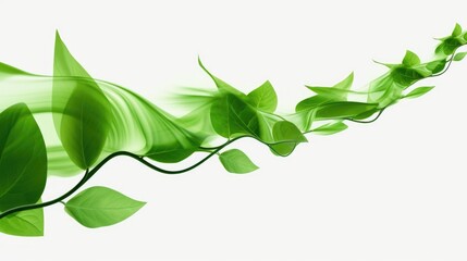 Poster - Detailed view of green plant, perfect for botanical projects