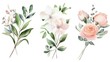 Watercolor flowers on white background, suitable for various design projects