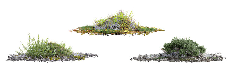Poster - collection green grass on transparent background 3d rendering png