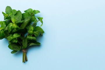 Wall Mural - Mint leaf. Fresh mint on Colored background. Mint leaves isolated Top view with copy space